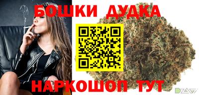 МДПВ Сланцы